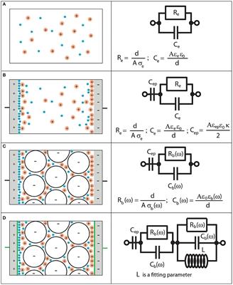 Predicting the Dielectric Response of Saturated Sandstones Using a 2-electrode Measuring System